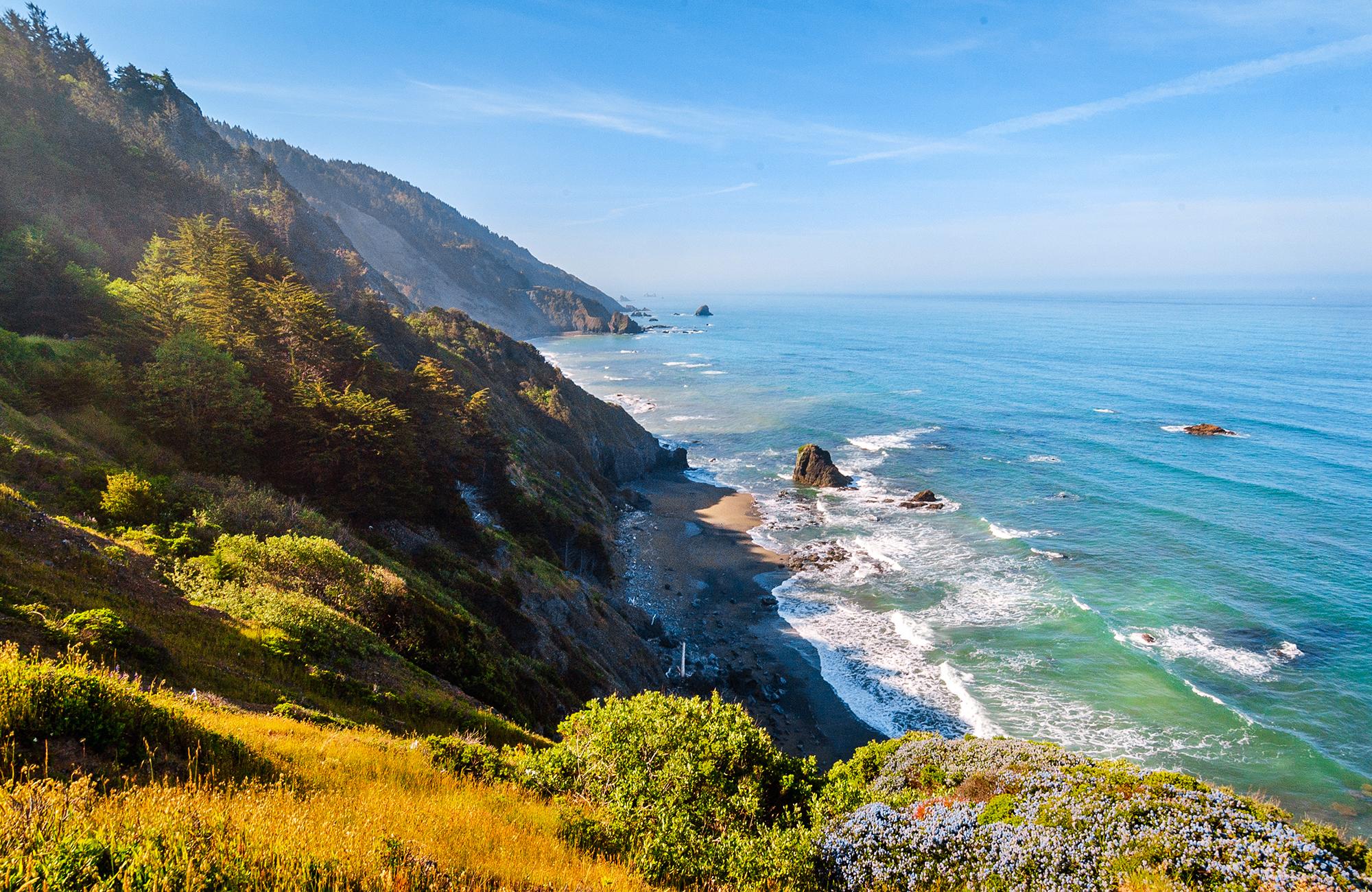 Scenic view of the North Coast of California, featuring the majestic redwood forest alongside the rugged Pacific oceanside
