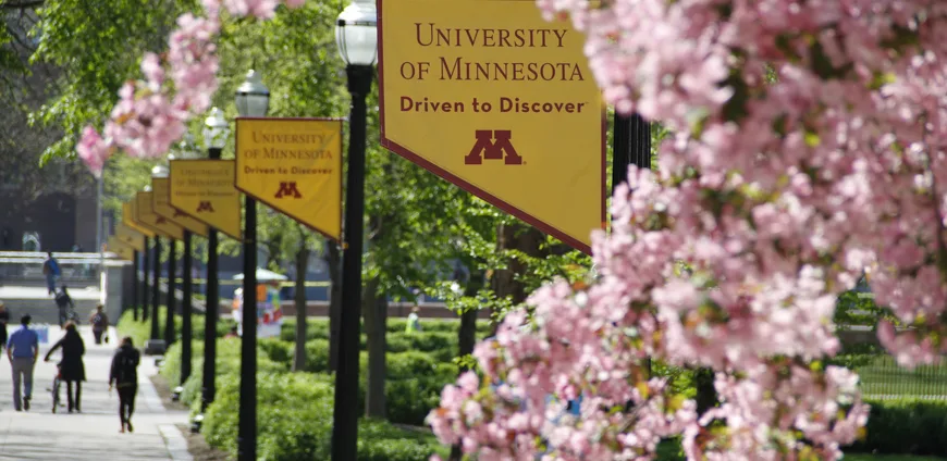 A scenic springtime view of the University of Minnesota campus, featuring golden "Driven to Discover" banners, blooming cherry blossoms, and students walking along a tree-lined path—home to the Chair of Rehabilitation Medicine.