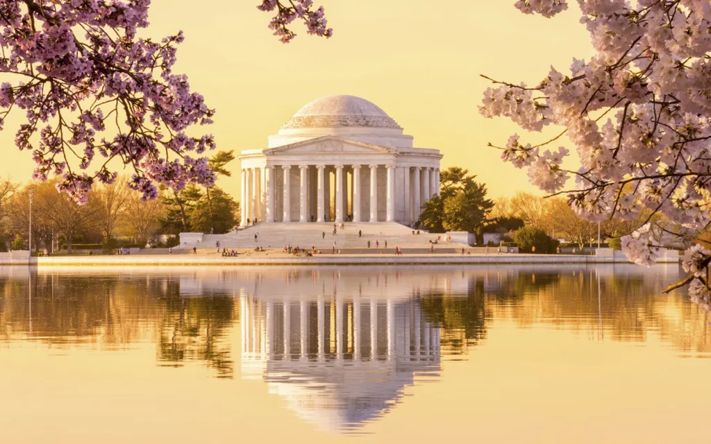 The Jefferson Memorial surrounded by cherry blossoms in Washington, D.C., reflecting on the Tidal Basin during sunrise, showcasing the city’s iconic beauty.