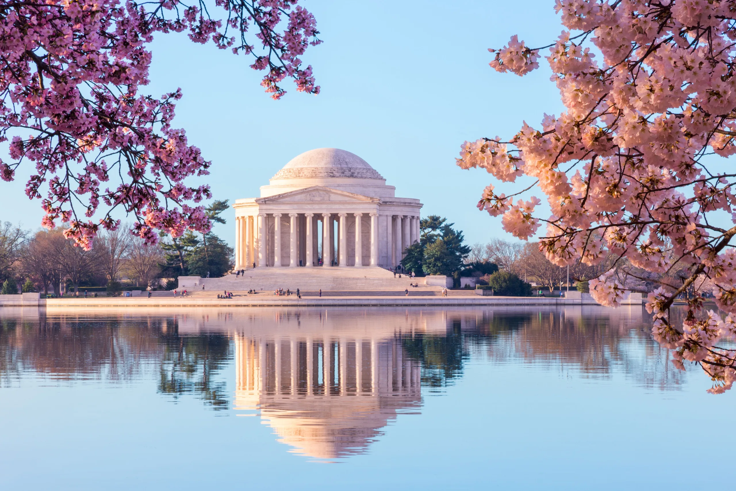 Jefferson Memorial framed by cherry blossoms in Washington, D.C., symbolizing leadership and excellence in academic physician leadership.