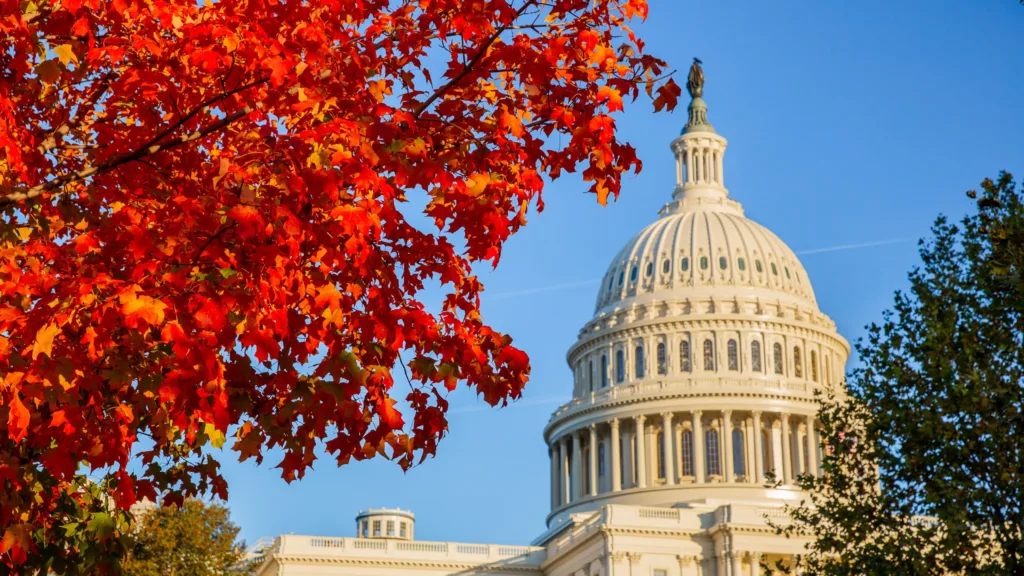 The U.S. Capitol in Washington, D.C., framed by vibrant autumn leaves, symbolizing the city's rich history, professional opportunities, and thriving medical community.